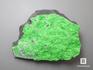 Уваровит (зелёный гранат), 12х8х2,5 см, 10-111/28, фото 1