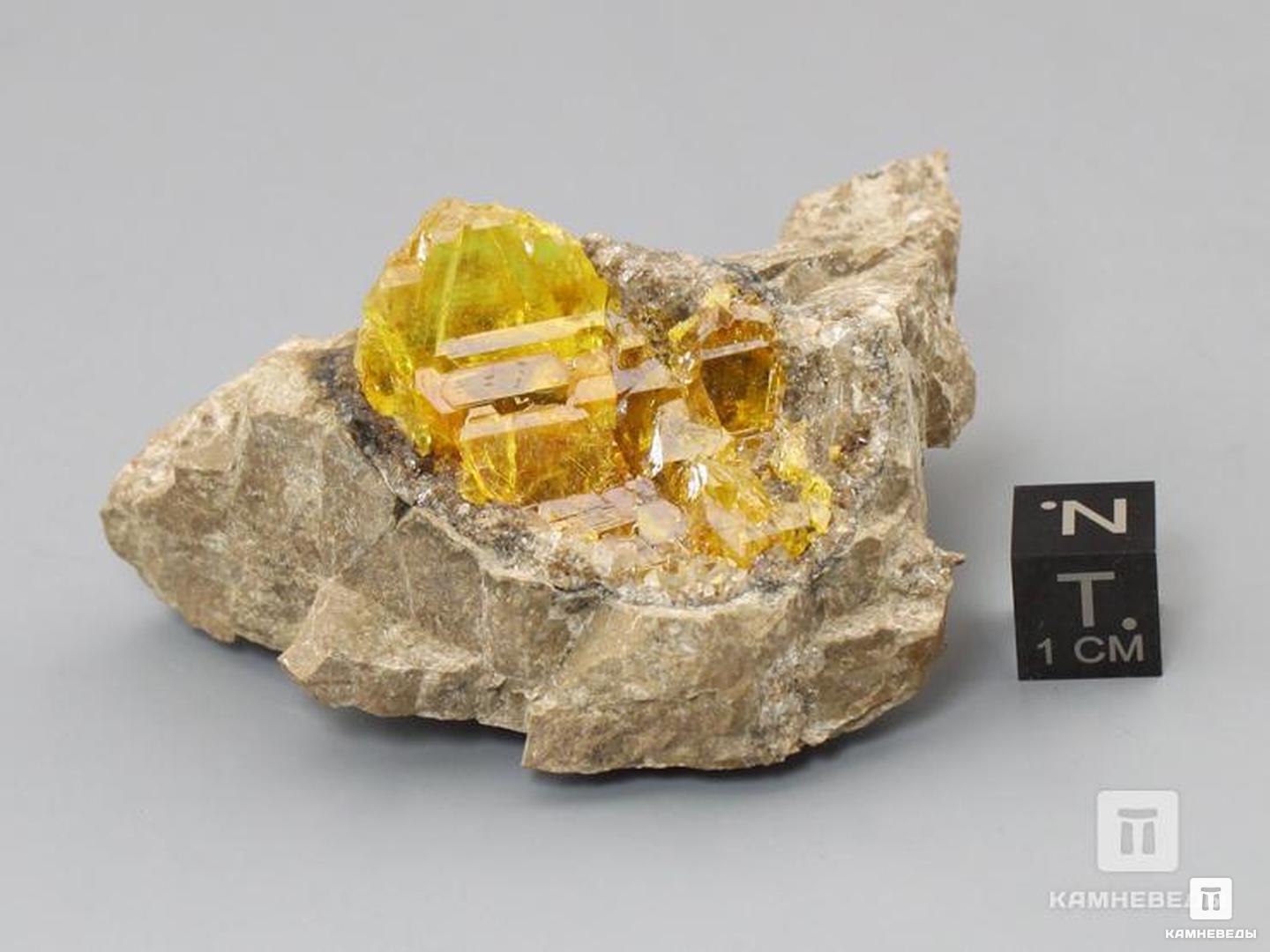 Сера самородная на породе, 6,3х4,9х3,3 см, 10-6/20, фото 2