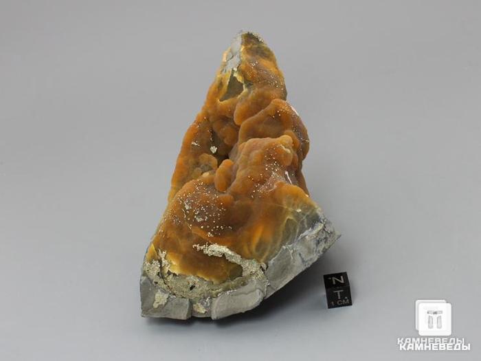 Симбирцит с пиритом, 13х8,7х7,7 см, 10-550, фото 3