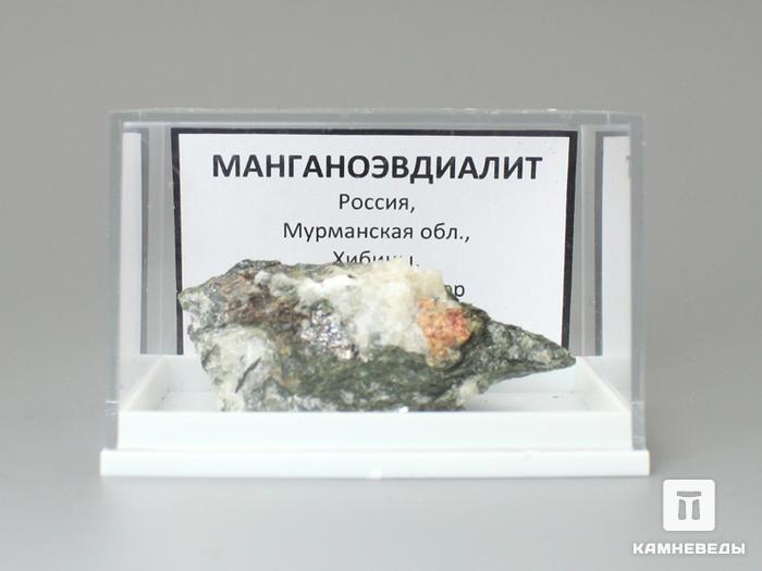 Манганоэвдиалит, 4,7х3х1,8 см, 10-555, фото 2