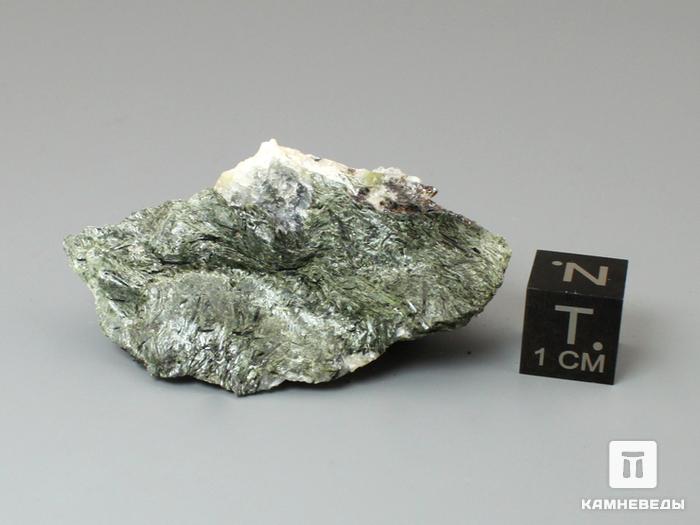 Манганоэвдиалит, 4,7х3х1,8 см, 10-555, фото 3
