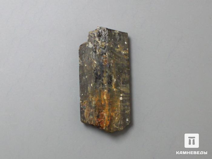 Фторрихтерит, кристалл 3,4х1,6х0,7 см, 10-558/1, фото 1