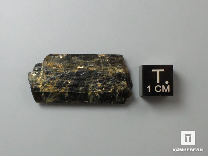 Фторрихтерит, кристалл 3,4х1,6х0,7 см, 10-558/1, фото 3