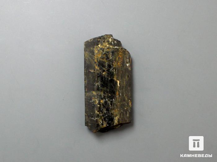 Фторрихтерит, кристалл 3,4х1,6х0,7 см, 10-558/1, фото 4
