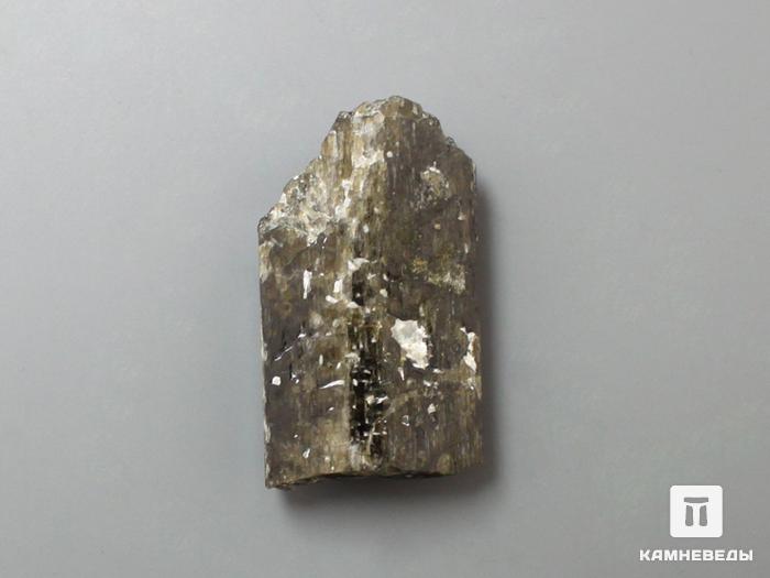 Фторрихтерит, кристалл 3,3х1,9х1,1 см, 10-558/3, фото 4