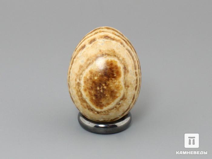Яйцо из арагонита, 4,2х3,2 см, 22-51/1, фото 2