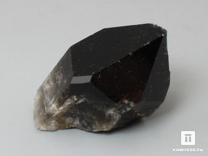 Раухтопаз (дымчатый кварц), сросток кристаллов 5,4х3х2,3 см, 10-100/84, фото 3
