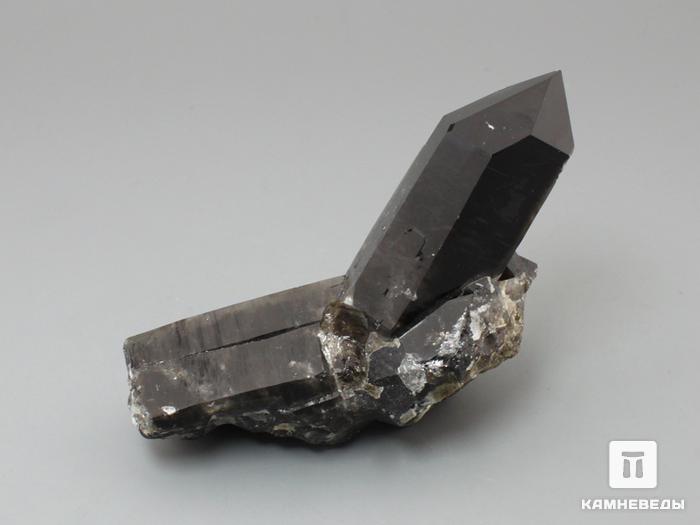Раухтопаз (дымчатый кварц), сросток кристаллов 9,3х5,4х3,5 см, 10-100/81, фото 2