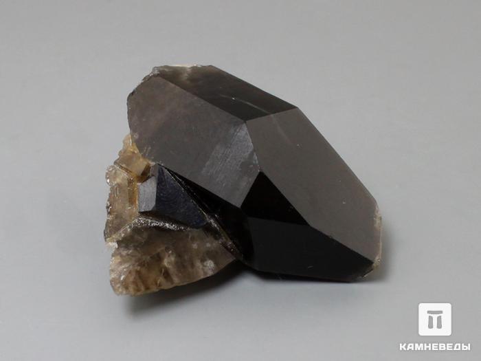 Раухтопаз (дымчатый кварц), сросток кристаллов 5,4х3х2,3 см, 10-100/84, фото 1