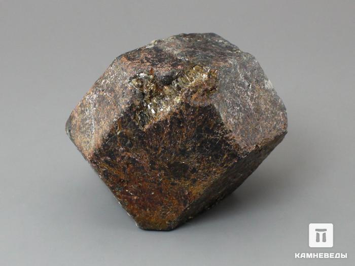 Альмандин (гранат), кристалл 6,6х4,8х4,2 см, 10-158/34, фото 2