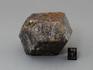 Альмандин (гранат), кристалл 6,6х4,8х4,2 см, 10-158/34, фото 3
