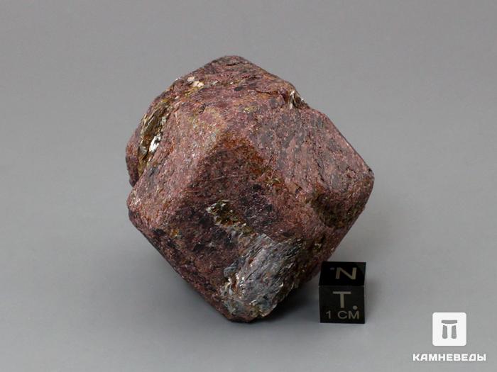 Альмандин (гранат), кристалл 6,2х5х4,7 см, 10-158/35, фото 3