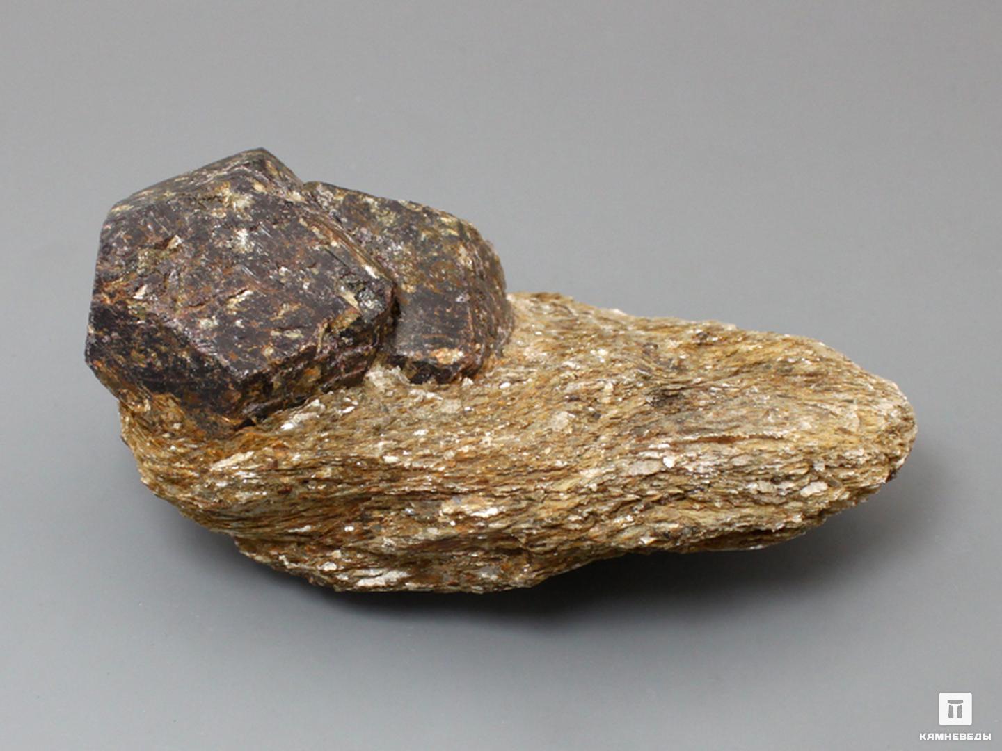 Альмандин (гранат), кристаллы на мусковитовом сланце 10,6х5,5х4,5 см, 10-158/40, фото 2