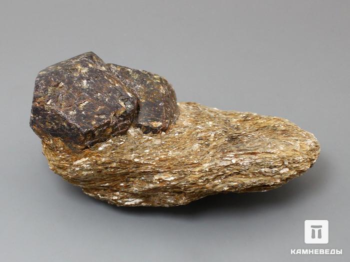 Альмандин (гранат), кристаллы на мусковитовом сланце 10,6х5,5х4,5 см, 10-158/40, фото 2