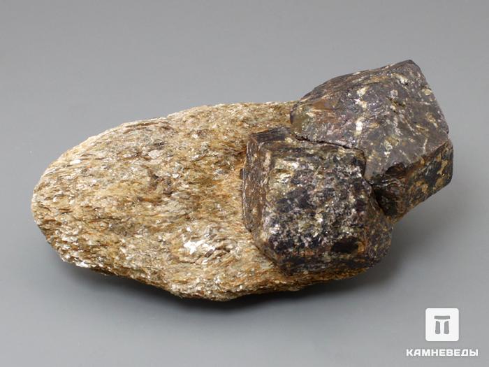Альмандин (гранат), кристаллы на мусковитовом сланце 10,6х5,5х4,5 см, 10-158/40, фото 1