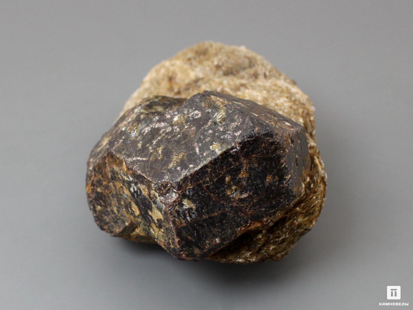Альмандин (гранат), кристаллы на мусковитовом сланце 10,6х5,5х4,5 см, 10-158/40, фото 3
