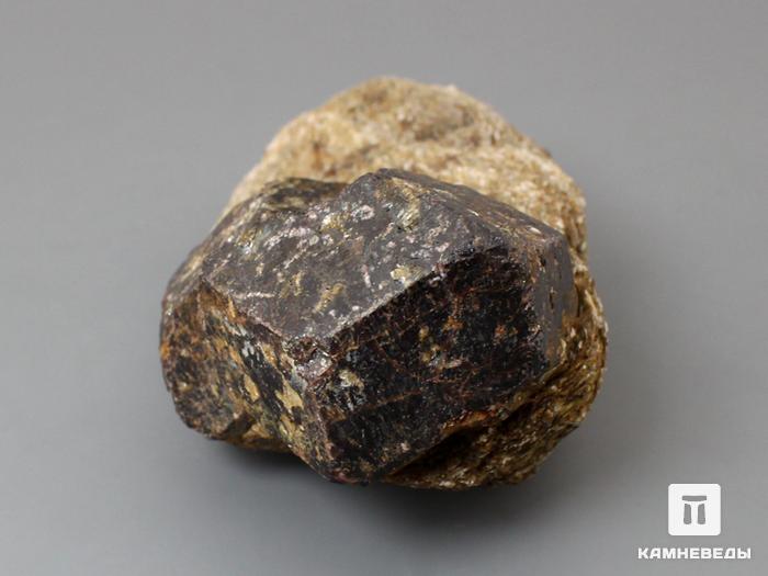 Альмандин (гранат), кристаллы на мусковитовом сланце 10,6х5,5х4,5 см, 10-158/40, фото 3