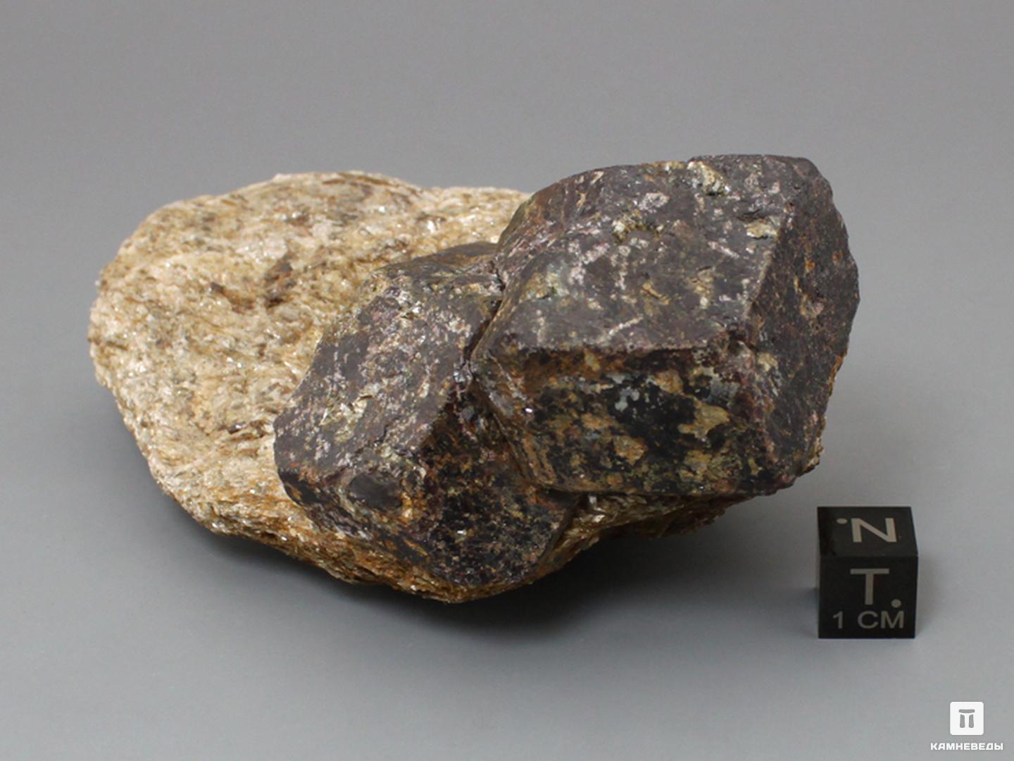 Альмандин (гранат), кристаллы на мусковитовом сланце 10,6х5,5х4,5 см, 10-158/40, фото 4