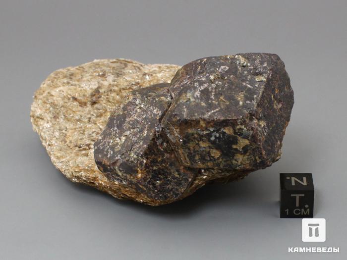 Альмандин (гранат), кристаллы на мусковитовом сланце 10,6х5,5х4,5 см, 10-158/40, фото 4