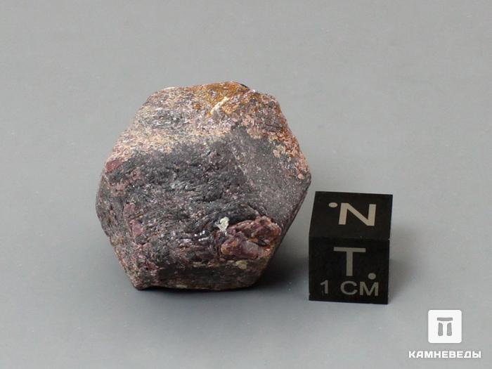 Альмандин (гранат), кристалл 2-3 см, 10-158/44, фото 2