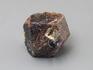 Альмандин (гранат), кристалл 2-3 см, 10-158/44, фото 1