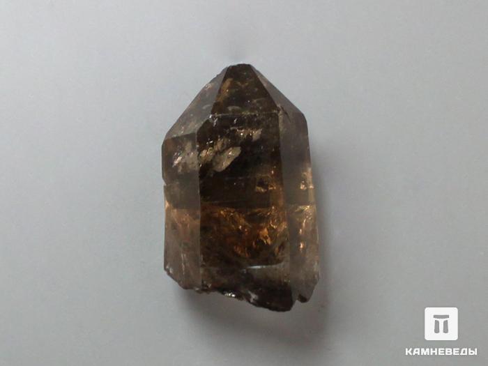 Раухтопаз (дымчатый кварц), кристалл 2,5х1,5 см, 10-100/93, фото 2