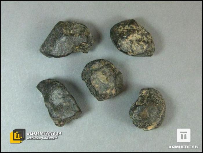 Метеорит Northwest Africa 869 каменный (хондрит) 1,5-2 см, 10-184, фото 2