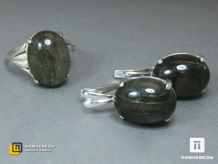 Комплект с лабрадором, кольцо и серьги, 45-38, фото 2