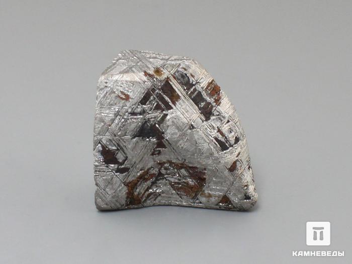 Метеорит «Muonionalusta», 49,67 г, 10-185/3, фото 3