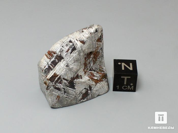 Метеорит «Muonionalusta», 49,67 г, 10-185/3, фото 4