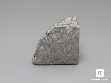 Метеориты. Метеорит Muonionalusta, 49,67 г