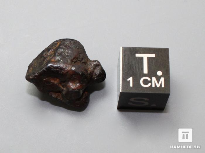Метеорит Canyon Diablo железный, индивидуал 4,87 г, 10-184/14, фото 2