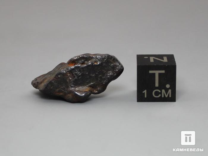Метеорит Canyon Diablo железный, индивидуал 2,5х1,2х1 см, 10-184/16, фото 2