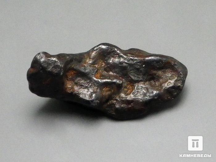 Метеорит Canyon Diablo железный, индивидуал 2,5х1,2х1 см, 10-184/16, фото 1