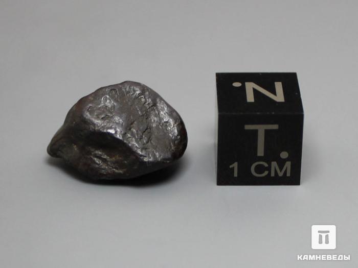 Метеорит Canyon Diablo железный, индивидуал 5,53 г, 10-184/17, фото 3