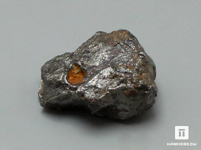 Метеорит Сихотэ-Алинь, осколок 10,2 г, 10-17/46, фото 2
