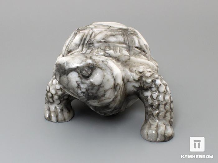 Черепаха из ангидрита, 23-262, фото 4