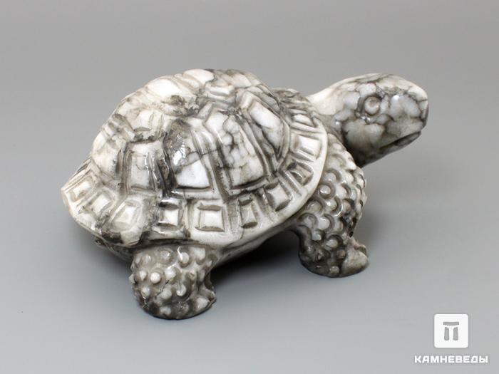 Черепаха из ангидрита, 23-262, фото 1