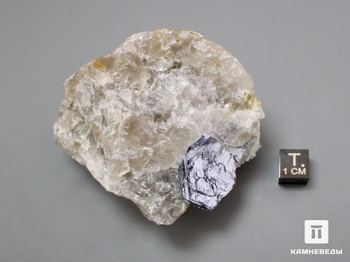 Молибденит, кристалл в кварце 7х5,8х5 см, 10-124/5, фото 4