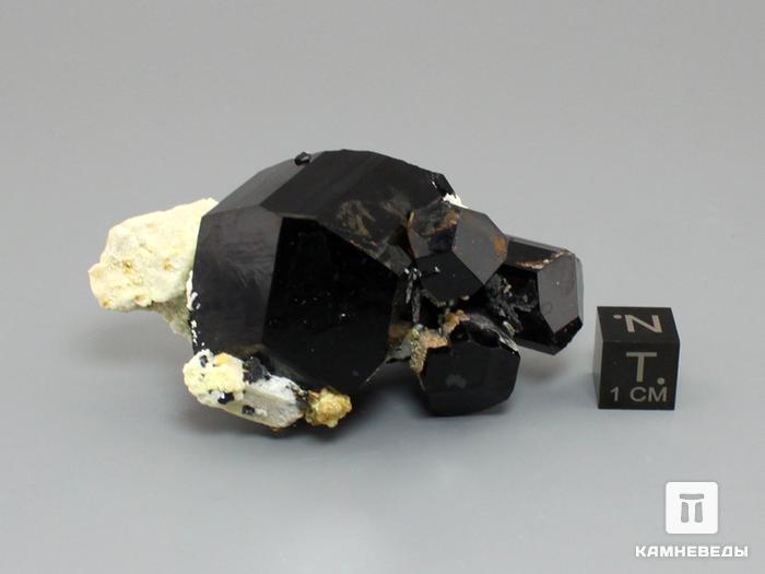 Шерл (черный турмалин), сросток кристаллов 6,3х3х3 см, 10-50/12, фото 3