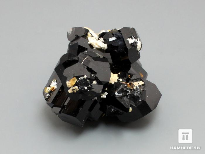 Шерл (черный турмалин), сросток кристаллов 4,4х4х3,1 см, 10-50/13, фото 1