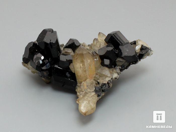 Шерл (черный турмалин) с кварцем, сросток кристаллов 6,4х4,6х2,8 см, 10-50/14, фото 3