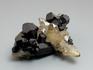 Шерл (черный турмалин) с кварцем, сросток кристаллов 6,4х4,6х2,8 см, 10-50/14, фото 1