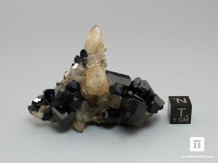 Шерл (черный турмалин) с кварцем, сросток кристаллов 6,4х4,6х2,8 см, 10-50/14, фото 4