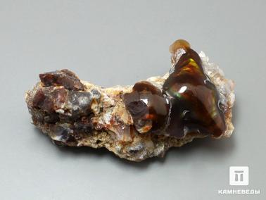 Агат, Агат огненный. Агат огненный, 5,7х2,8х2,1 см