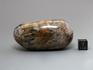 Токкоит с эгирином и чароитом, полированная галька, 12-221, фото 4