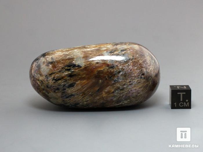 Токкоит с эгирином и чароитом, полированная галька, 12-221, фото 4