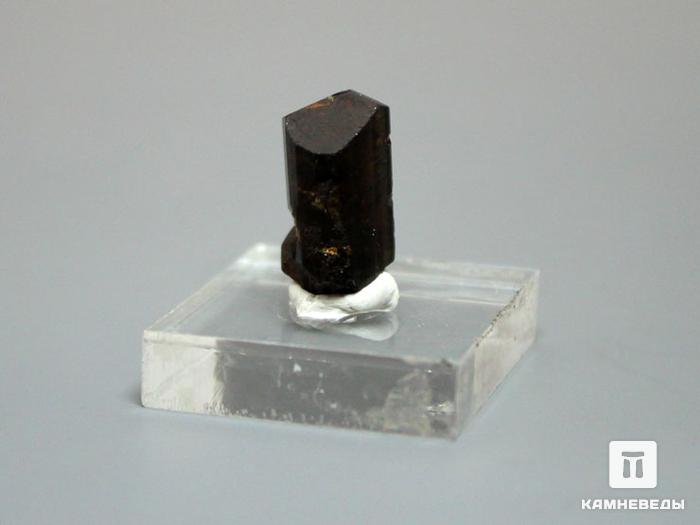 Дравит (турмалин), кристалл 1,6х0,9х0,8 см, 10-33/7, фото 2