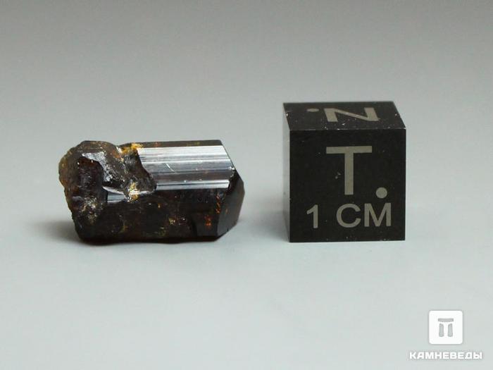 Дравит (турмалин), кристалл 1,6х0,9х0,8 см, 10-33/7, фото 3