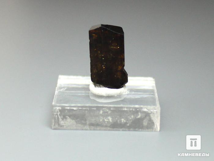 Дравит (турмалин), кристалл 1,6х0,9х0,8 см, 10-33/7, фото 1